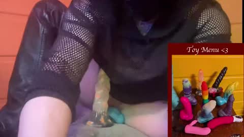 Snapshot of ziggystarpup chatting on 6, 1, 2025 Ziggy online show from 6, 1, 2025