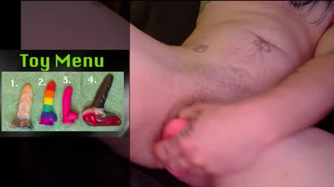 Snapshot of ziggystarpup chatting on 29, 3, 2026 Ziggy online show from 29, 3, 2026