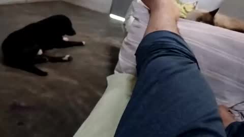 zitojose73 online show from 8, 10, 2025