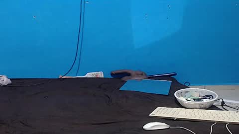 Snapshot of zoe_bbw chatting on 5, 4, 2026 Zoe online show from 5, 4, 2026