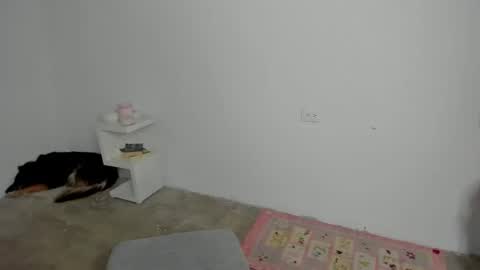 Snapshot of zoe_wattson chatting on 24, 4, 2026 Zoe online show from 24, 4, 2026