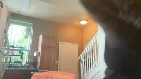 Snapshot of zoeydanner chatting on 17, 2, 2026 Zoeydanner online show from 17, 2, 2026