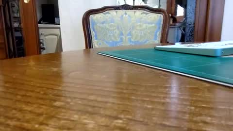 Snapshot of zomaslive chatting on 15, 4, 2026 Zomas online show from 15, 4, 2026