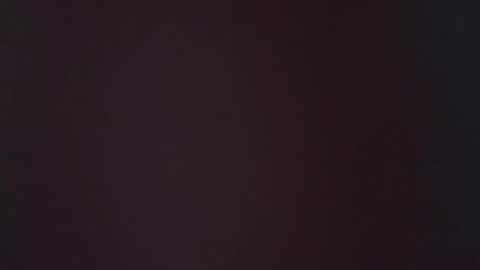 zoozdxb online show from 16, 1, 2026