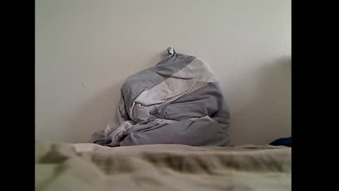 zwweener online show from 14, 1, 2026