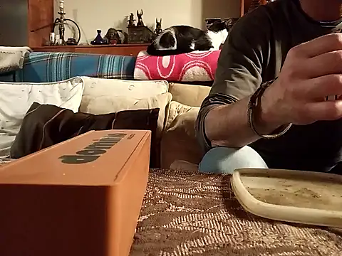 coolkasal online show from 17, 4, 2026