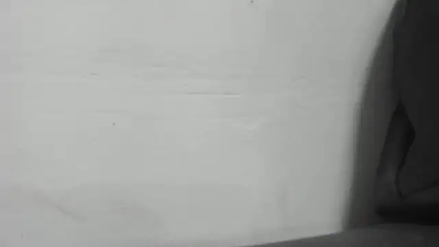 roxana collins online show from 16, 1, 2025