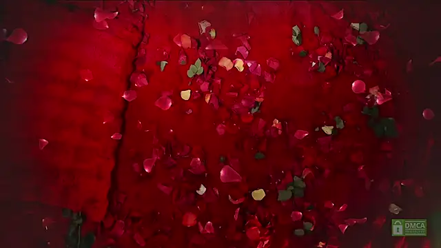 abbyhall  online show from 14, 2, 2026