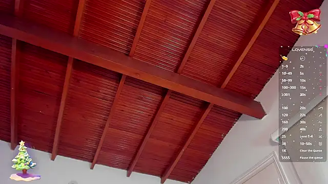 bhritany brow online show from 31, 12, 2024