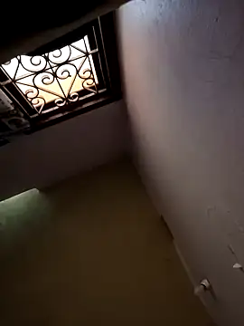 Mallu-Gayathri Arun online show from 12, 12, 2024