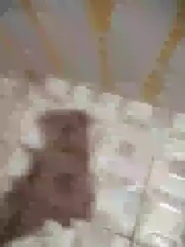 Snapshot of Sanjaymartin29 chatting on 16, 1, 2025 Sanjaymartin29 online show from 16, 1, 2025