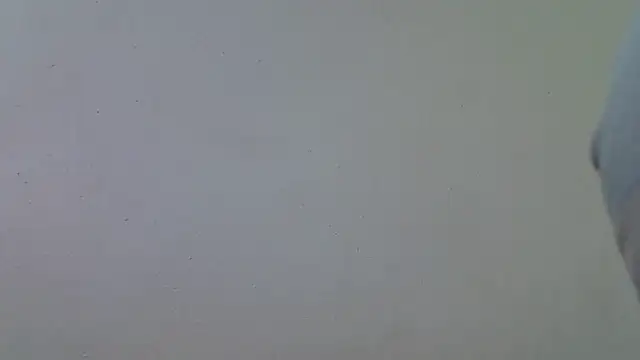 Snapshot of AddictiveAssCurves chatting on 18, 3, 2026 AddictiveAssCurves online show from 18, 3, 2026