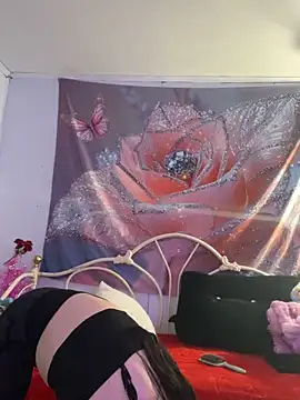 Snapshot of DominiqueX0 chatting on 20, 2, 2026 DominiqueX0 online show from 20, 2, 2026