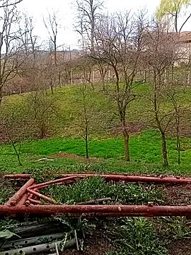 Medelin92 online show from 3, 4, 2026