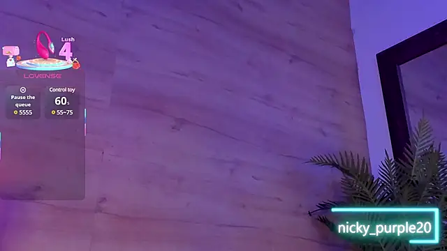 Snapshot of _nickypurple_ chatting on 13, 2, 2025 nickypurple online show from 13, 2, 2025