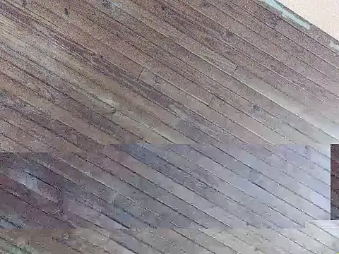 Argentinoflaco online show from 26, 9, 2025