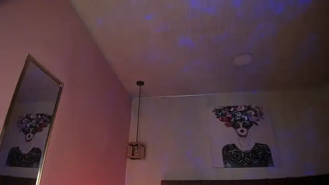 ayshel   online show from 13, 1, 2026