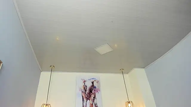 ayshel   online show from 15, 4, 2026