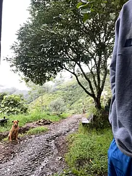 Snapshot of vergasgrandes chatting on 5, 1, 2025 vergasgrandes online show from 5, 1, 2025