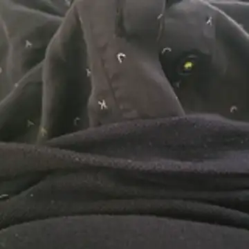 Snapshot of surfer_fun29 chatting on 2, 12, 2025 surfer fun29 online show from 2, 12, 2025