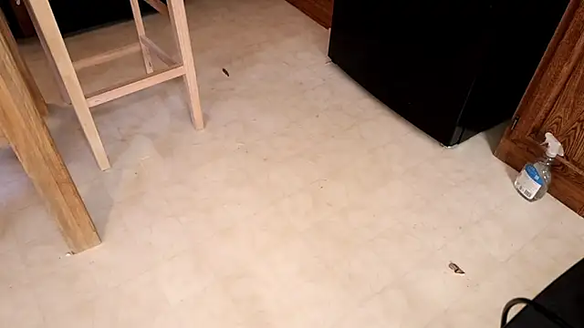 Snapshot of xxpixeyxx chatting on 12, 2, 2026 xxpixeyxx online show from 12, 2, 2026