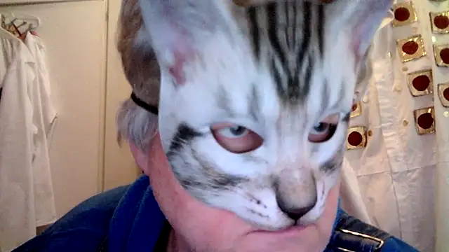 Snapshot of Sigorius chatting on 3, 3, 2026 Sigorius online show from 3, 3, 2026
