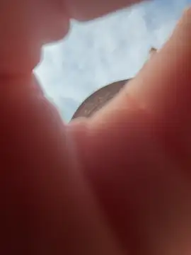 Snapshot of AmmyHot chatting on 18, 3, 2026 AmmyHot online show from 18, 3, 2026