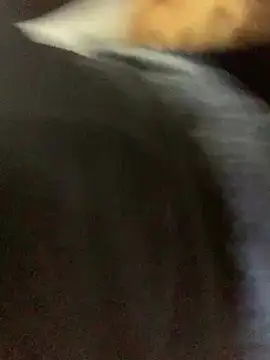 slimcateee online show from 2, 3, 2025