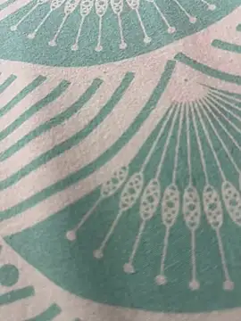 Snapshot of kannadatelugugirl chatting on 1, 1, 2025 kannadatelugugirl online show from 1, 1, 2025