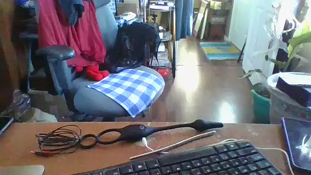 Snapshot of Daremeknot chatting on 12, 12, 2024 Daremeknot online show from 12, 12, 2024