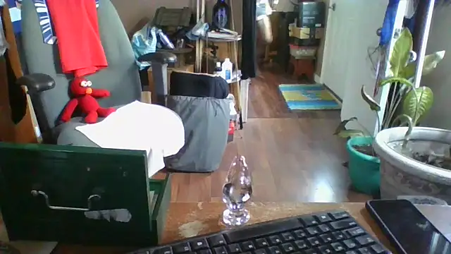 Snapshot of Daremeknot chatting on 30, 12, 2024 Daremeknot online show from 30, 12, 2024