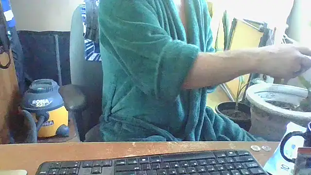 Snapshot of Daremeknot chatting on 1, 2, 2025 Daremeknot online show from 1, 2, 2025