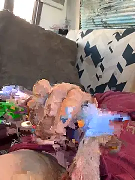 Followthepiper online show from 13, 9, 2025