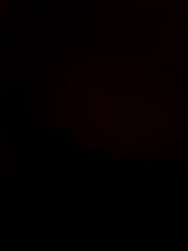 DANY49DANY49 online show from 12, 11, 2025