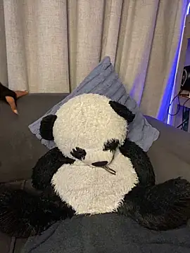 YellowHoneyDip online show from 19, 2, 2026