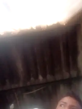 Snapshot of dantero chatting on 14, 1, 2025 dantero online show from 14, 1, 2025