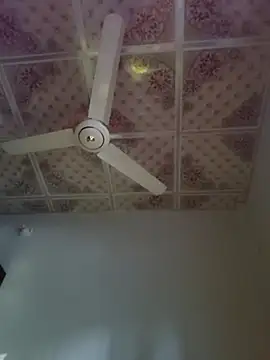 Dil-Ka-Radhika online show from 29, 11, 2025