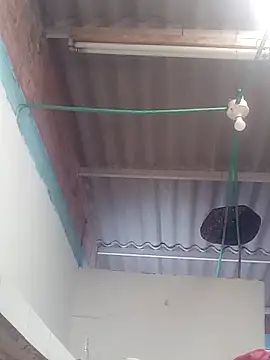 Snapshot of mailo_bronw chatting on 30, 3, 2026 mailo bronw online show from 30, 3, 2026