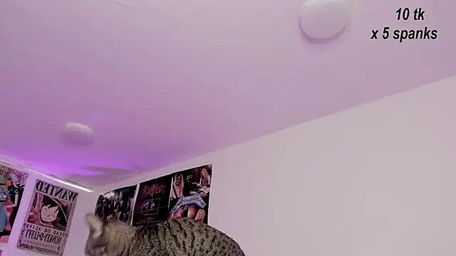 Snapshot of Sachi_Meow chatting on 26, 10, 2025 Sachi Meow online show from 26, 10, 2025