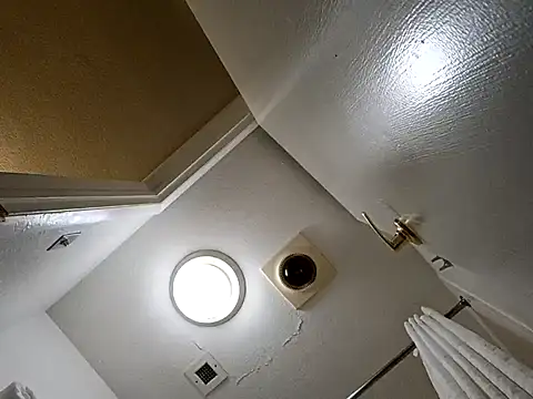 Snapshot of Treemandude chatting on 29, 10, 2025 Treemandude online show from 29, 10, 2025