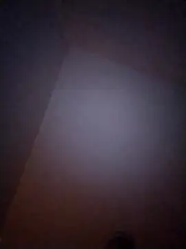 Treemandude online show from 6, 1, 2026