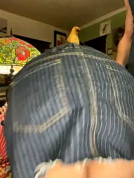 sexyasscougar online show from 29, 11, 2025