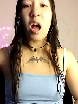 Snapshot of Japabaixinha chatting on 14, 12, 2024 Japabaixinha online show from 14, 12, 2024