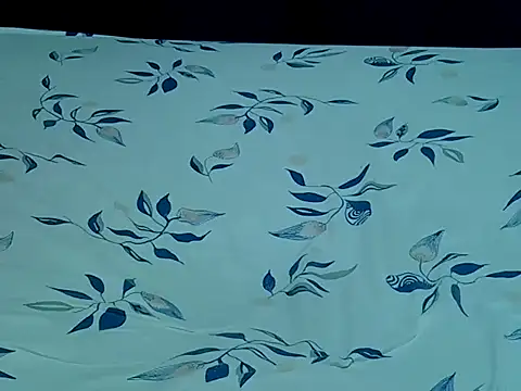 Snapshot of HoneyBun143 chatting on 11, 4, 2026 HoneyBun143 online show from 11, 4, 2026