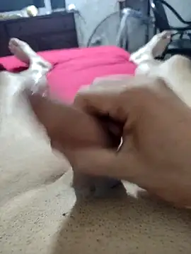 quierodarleche69 online show from 16, 2, 2026