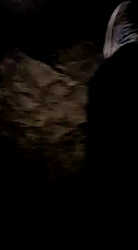 playtyme420691 online show from 7, 12, 2024