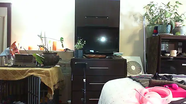 Snapshot of CeceilaMoon chatting on 14, 7, 2026 CeceilaMoon online show from 14, 7, 2026
