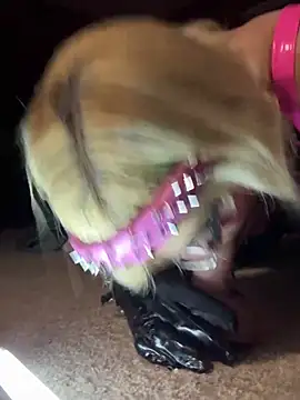 whoremeout online show from 13, 3, 2026