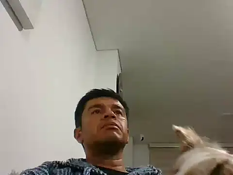 Snapshot of perxxxeo_ chatting on 11, 10, 2025 perxxxeo  online show from 11, 10, 2025