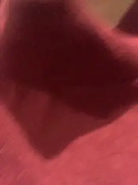 Klio5678 online show from 6, 3, 2026